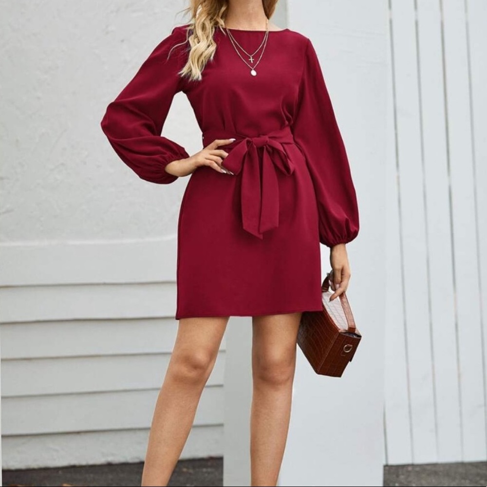 Blue long lantern sleeve  belted dress - Picture 11 of 16